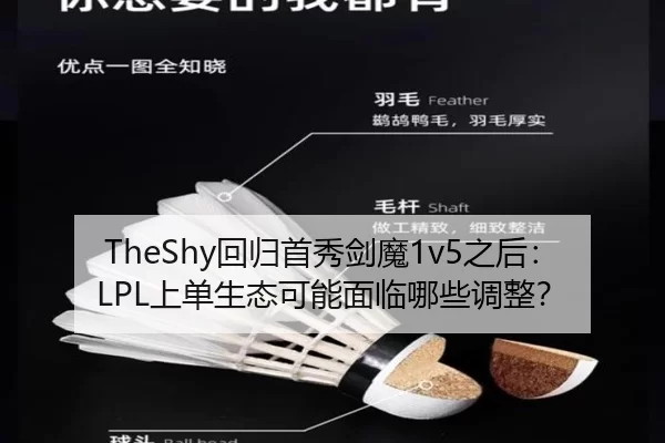 TheShy回归首秀剑魔1v5之后：LPL上单生态可能面临哪些调整？